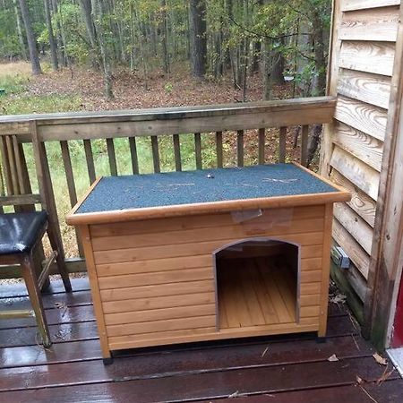 Dunnsville Rustic Quaint Cabin In The Woods--Pets Welcomed מראה חיצוני תמונה