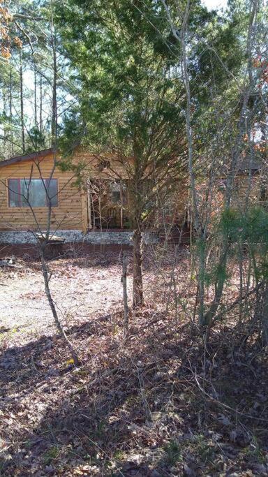 Dunnsville Rustic Quaint Cabin In The Woods--Pets Welcomed מראה חיצוני תמונה