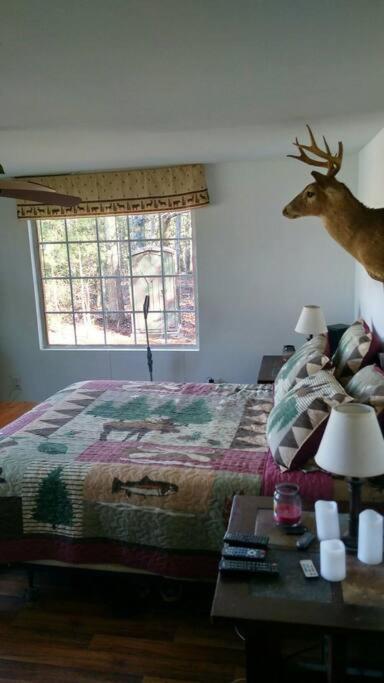 Dunnsville Rustic Quaint Cabin In The Woods--Pets Welcomed מראה חיצוני תמונה